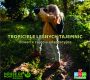 Tropiciele 100 1024x979 1 90x80